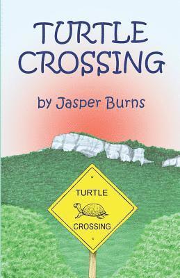 Jasper Burns - Turtle Crossing, Häftad. Tillgänglighet: Lägg i varukorg