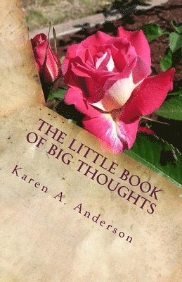 Karen a. Anderson - The Little Book of BIG Thoughts-Vol. 1, Häftad