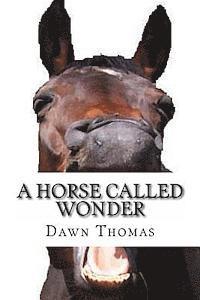 D. Thomas - A Horse called Wonder: Hollygrove Country Estate Seies, Häftad. Tillgänglighet: Lägg i varukorg