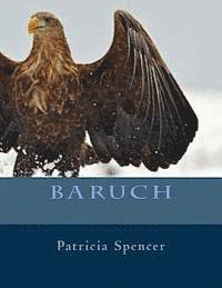 Patricia M. Spencer - Baruch, Häftad. Tillgänglighet: Lägg i varukorg