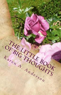Karen a. Anderson - The Little Book of BIG Thoughts -- Vol. 5, Häftad
