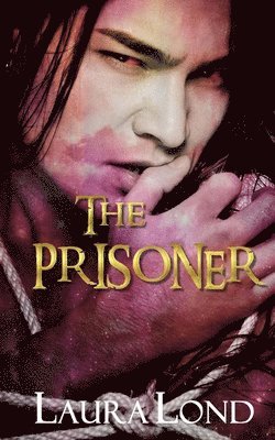 Laura Lond - Prisoner (The Dark Elf of Syron, #1), Häftad. Tillgänglighet: Lägg i varukorg