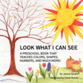 Look What I Can See: A Preschool Book that Teaches Colors, Shapes, Numbers, and Much More!
