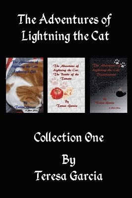 Teresa Garcia - Adventures of Lightning the Cat, Häftad. Tillgänglighet: Lägg i varukorg