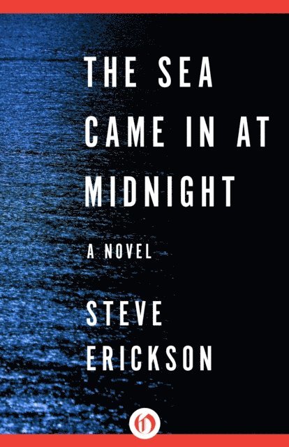 Steve Erickson - Sea Came in at Midnight, E-bok