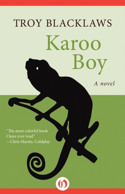 Troy Blacklaws - Karoo Boy, E-bok