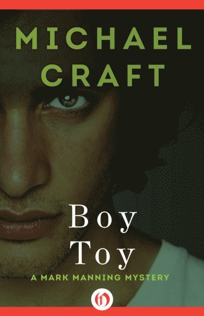 Michael Craft - Boy Toy, E-bok