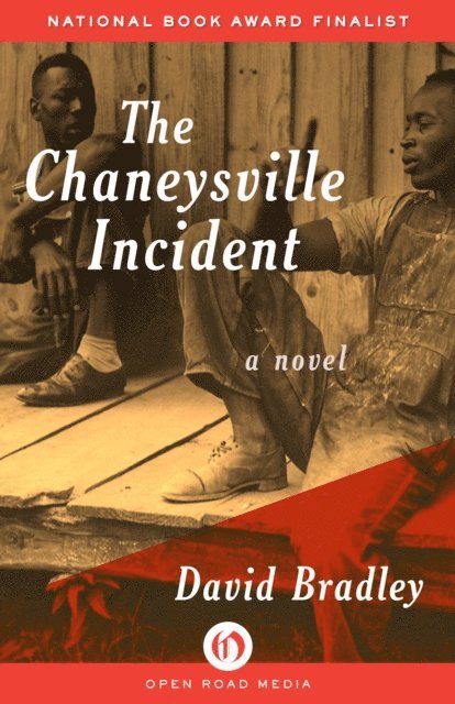 David Bradley - Chaneysville Incident, E-bok