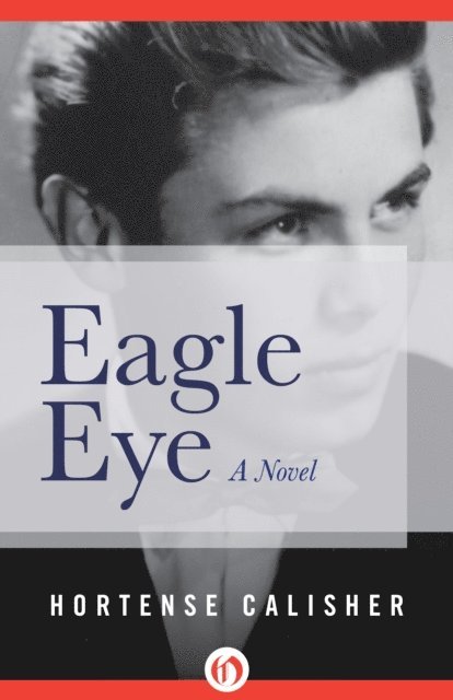 Hortense Calisher - Eagle Eye, E-bok. Tillgänglighet: Lägg i varukorg