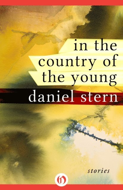 Daniel Stern - In the Country of the Young, E-bok