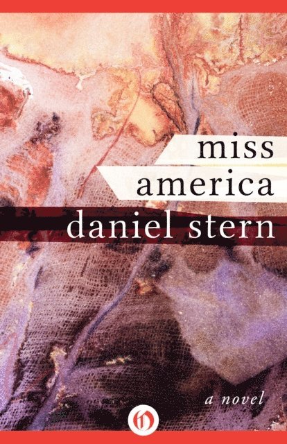 Daniel Stern - Miss America, E-bok