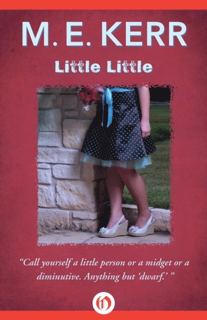 M. E. Kerr - Little Little, E-bok