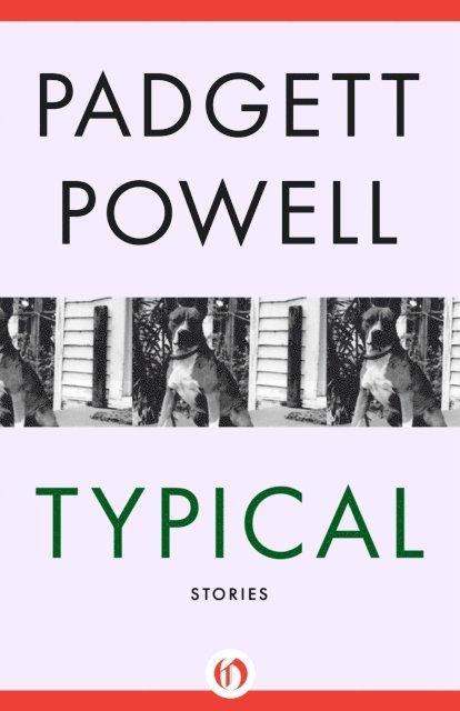 Padgett Powell - Typical, E-bok. Tillgänglighet: Lägg i varukorg