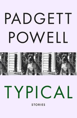 Padgett Powell - Typical, Häftad. Tillgänglighet: Lägg i varukorg
