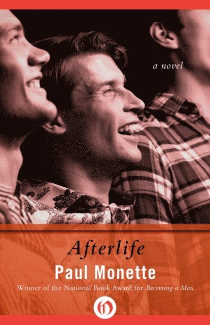 Paul Monette - Afterlife, E-bok