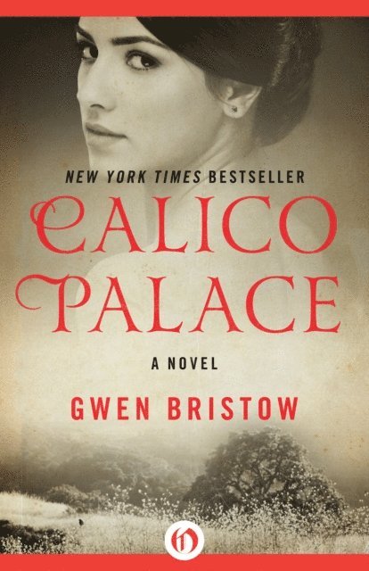 Gwen Bristow - Calico Palace, E-bok