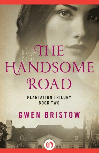Gwen Bristow - Handsome Road, E-bok