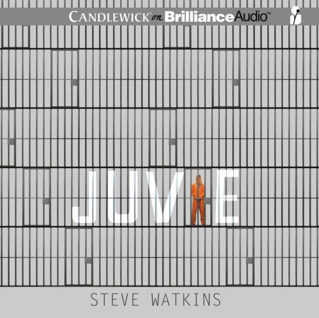 Steve Watkins - Juvie, Ljudbok
