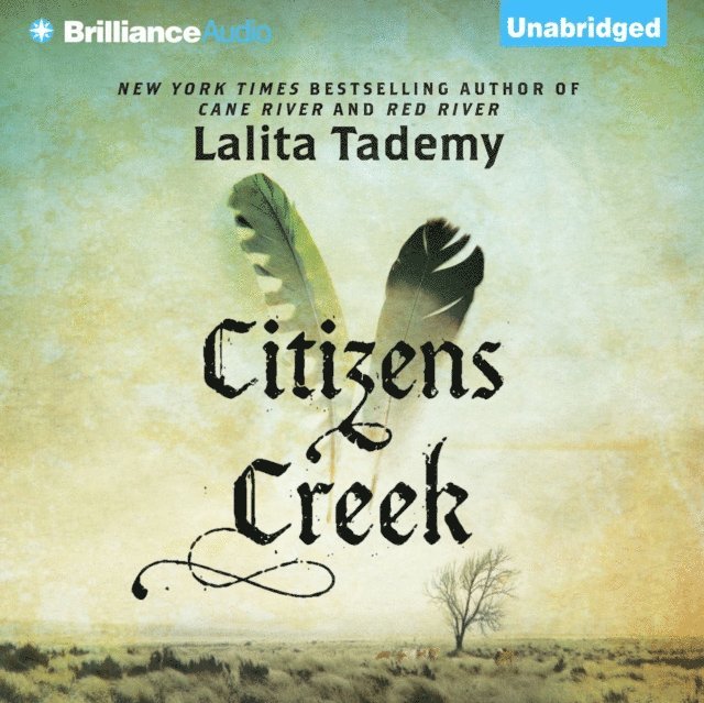 Lalita Tademy - Citizens Creek, Ljudbok