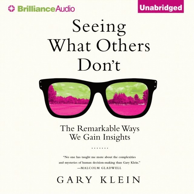 Gary Klein - Seeing What Others Don't, Ljudbok