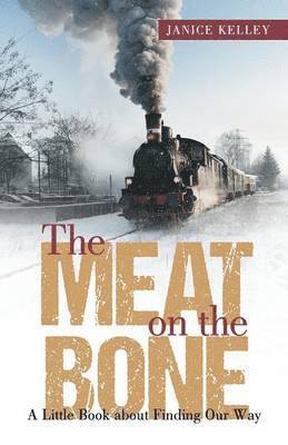 Janice Kelley - Meat on the Bone, Häftad