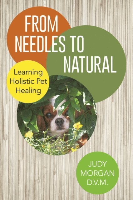Judy Morgan D.V.M. - From Needles to Natural, E-bok