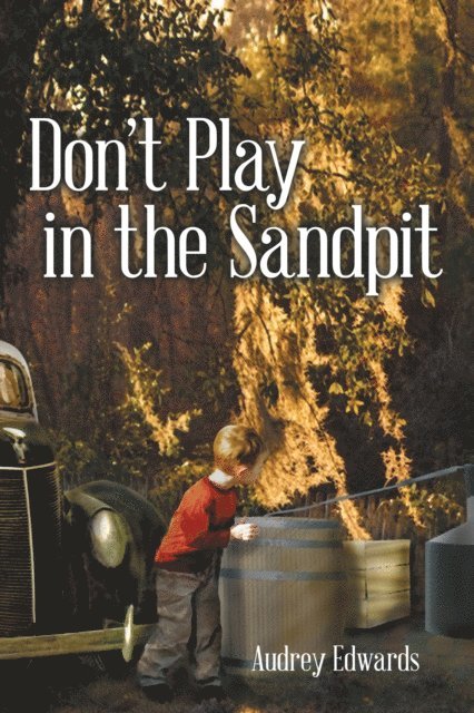 Audrey Edwards - Don'T Play in the Sandpit, E-bok