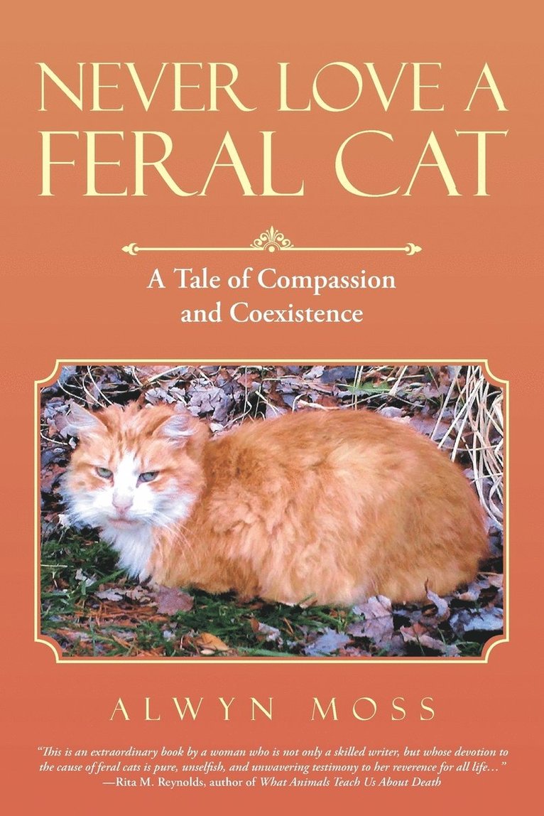 Alwyn Moss - Never Love a Feral Cat, Häftad. Tillgänglighet: Lägg i varukorg