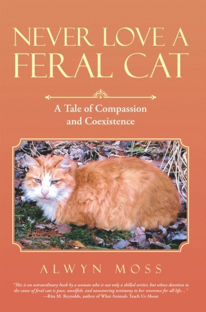 Never Love a Feral Cat