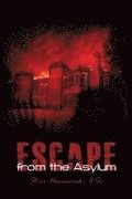 Escape from the Asylum