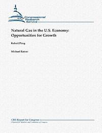 Michael Ratner, Robert Pirog - Natural Gas in the U.S. Economy: Opportunities for Growth, Häftad