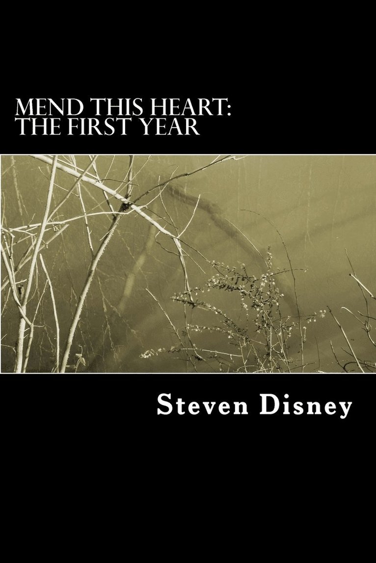 Steven Disney, Teresa Garcia, Faith Lindgren-Brown - Mend This Heart, Häftad. Tillgänglighet: Lägg i varukorg
