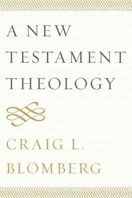 New Testament Theology av Craig L Blomberg