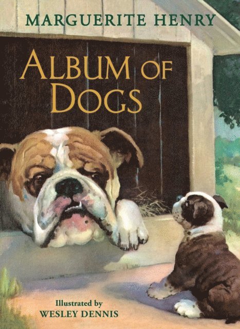 Marguerite Henry - Album of Dogs, E-bok