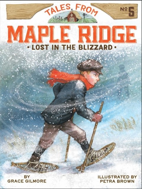 Grace Gilmore - Lost in the Blizzard, E-bok