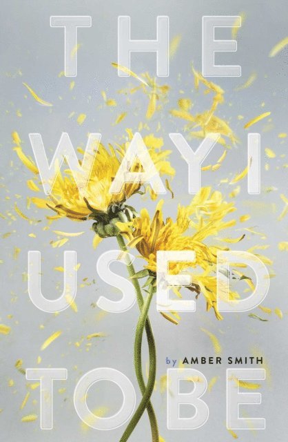 Amber Smith - Way I Used to Be, E-bok