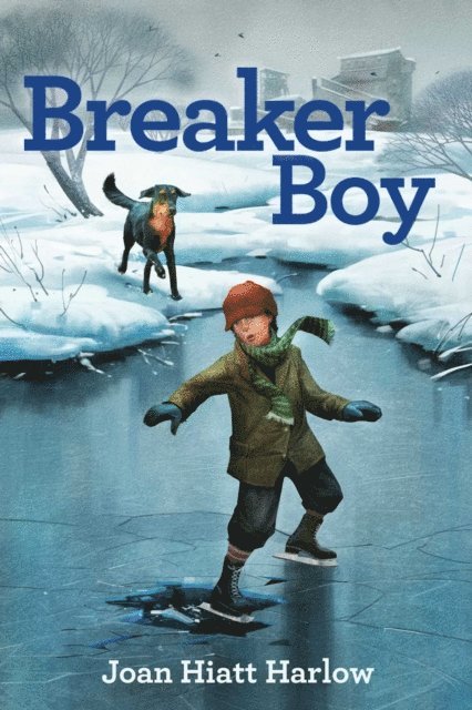Joan Hiatt Harlow - Breaker Boy, E-bok