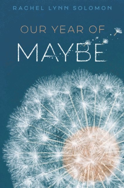 Rachel Lynn Solomon - Our Year of Maybe, E-bok