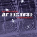 Many Things Invisible