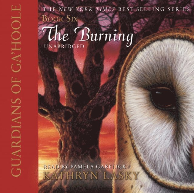 Kathryn Lasky - Burning, Ljudbok