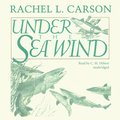 Under the Sea Wind