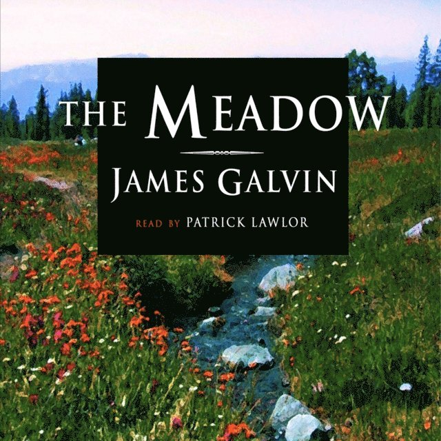 James Galvin - Meadow, Ljudbok