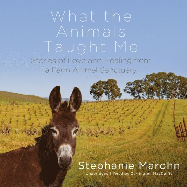 Stephanie Marohn - What the Animals Taught Me, Ljudbok