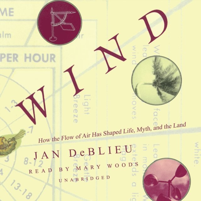 Jan DeBlieu - Wind, Ljudbok