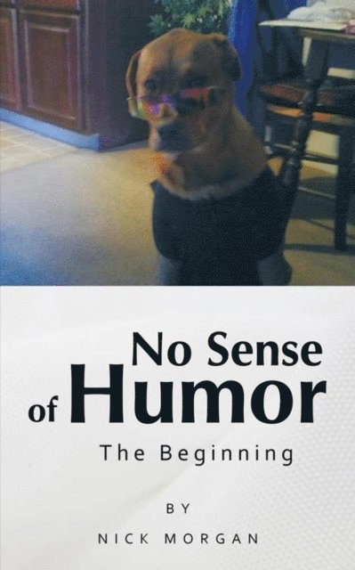 Nick Morgan - No Sense of Humor, E-bok