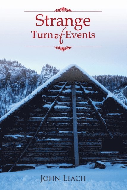 John Leach - Strange Turn of Events, E-bok