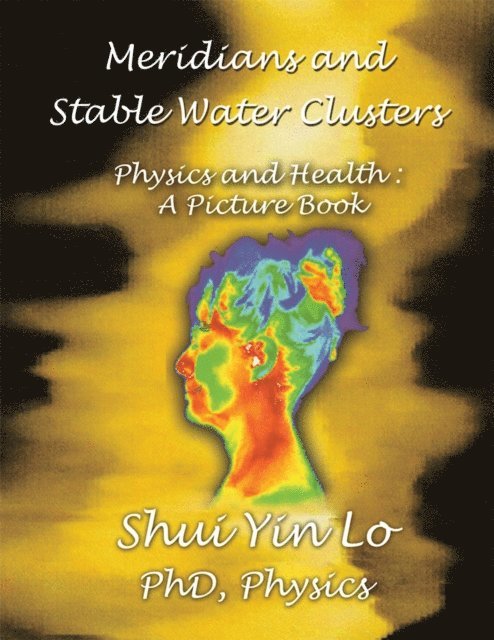 Shui Yin Lo - Meridians and Stable Water Clusters, E-bok