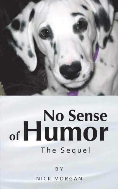 Nick Morgan - No Sense of Humor, E-bok