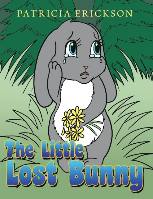 Patricia Erickson - Little Lost Bunny, E-bok