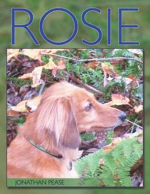Jonathan Pease - Rosie, Häftad